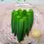 32ea611ce2b7bff989ee6d5b1fdc251b