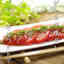 Be569feef32b802f8951261ccd23bcac