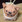 クックNECOROB